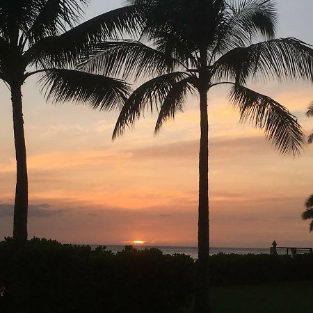 Lovely Relaxing Lanikai Studio, Legal Vacation Rental كايلوا المظهر الخارجي الصورة