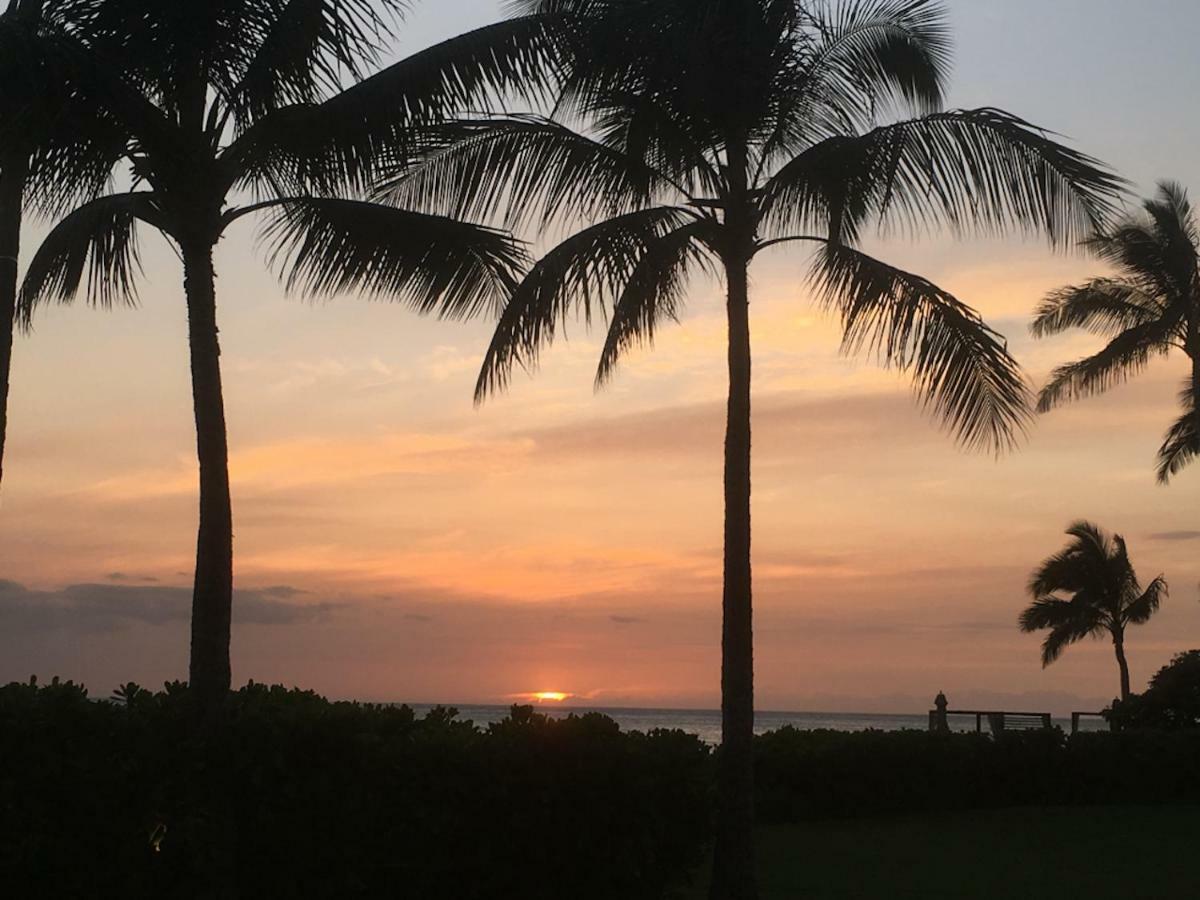 Lovely Relaxing Lanikai Studio, Legal Vacation Rental كايلوا المظهر الخارجي الصورة
