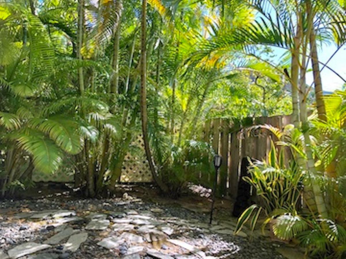 Lovely Relaxing Lanikai Studio, Legal Vacation Rental كايلوا المظهر الخارجي الصورة
