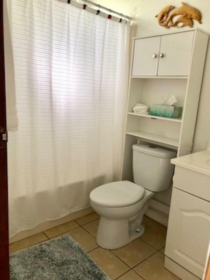 Lovely Relaxing Lanikai Studio, Legal Vacation Rental كايلوا المظهر الخارجي الصورة
